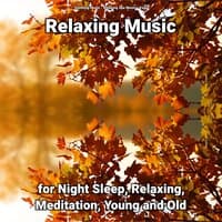 Relaxing Music for Night Sleep, Relaxing, Meditation, Young and Old