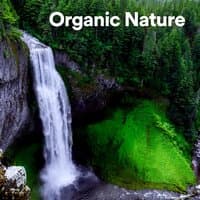 Organic Nature