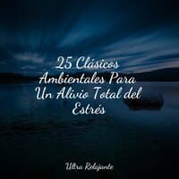 25 Clásicos Ambientales Para Un Alivio Total del Estrés