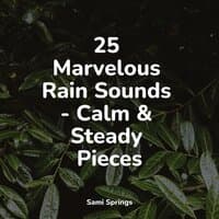 25 Marvelous Rain Sounds - Calm & Steady Pieces