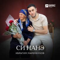 Си нанэ