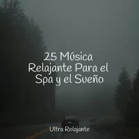 25 Música Relajante Para el Spa y el Sueño