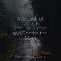 35 Beautiful Tracks to Reduce Stress and Soothe the Mind