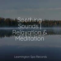 Soothing Sounds | Relaxation & Meditation