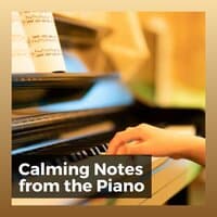 Calming Notes from the Piano