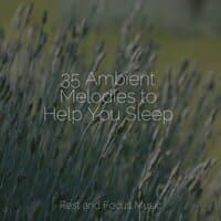 35 Ambient Melodies to Help You Sleep