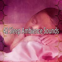 42 Sleep Ambience Sounds