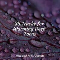 35 Tracks for Warming Deep Focus