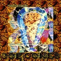 Joe Cones