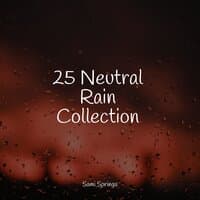 25 Neutral Rain Collection