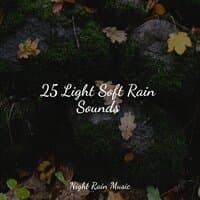 25 Light Soft Rain Sounds