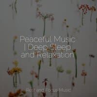 Peaceful Music | Deep Sleep and Relaxation