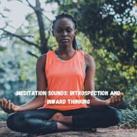 Meditation Sounds: Introspection and Inward Thinking