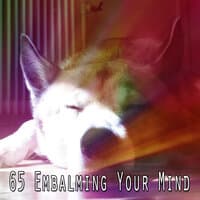 65 Embalming Your Mind