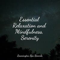 Essential Relaxation and Mindfulness, Serenity