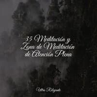 35 Meditación y Zona de Meditación de Atención Plena