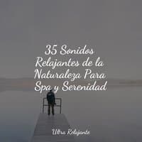 35 Sonidos Relajantes de la Naturaleza Para Spa y Serenidad