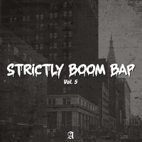 Strictly Boom Bap, Vol. 5