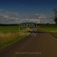 Comforting Sounds | Ultimate Serenity