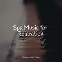 Spa Music for Relaxation