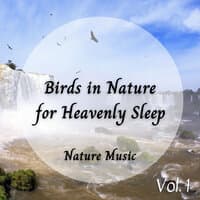 Meditation Music: Birds in Nature for Heavenly Sleep Vol. 1