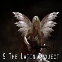 9 The Latin Project