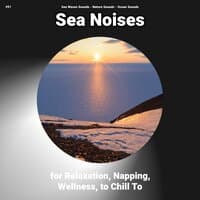 #01 Sea Noises for Relaxation, Napping, Wellness, to Chill To