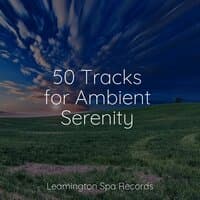 50 Tracks for Ambient Serenity