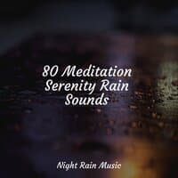 80 Meditation Serenity Rain Sounds