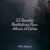 25 Sonidos Meditativos Para Aliviar el Estrés