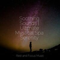 Soothing Sounds | Ultimate Mystical Spa Serenity