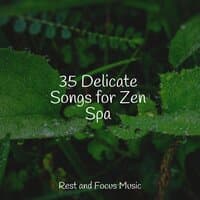 35 Delicate Songs for Zen Spa