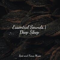 Essential Sounds | Deep Sleep