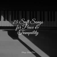 25 Soft Songs for Peace & Tranquility