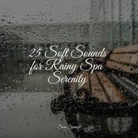 25 Soft Sounds for Rainy Spa Serenity