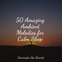 50 Amazing Ambient Melodies for Calm Sleep