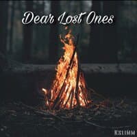 Dear Lost Ones