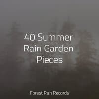 40 Summer Rain Garden Pieces