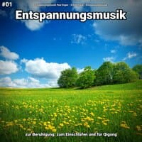 #01 Entspannungsmusik zur Beruhigung, zum Einschlafen und für Qigong