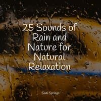 25 Sounds of Rain and Nature for Natural Relaxation