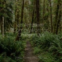 40 Ambient Compilation for Chilling Out