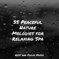 35 Peaceful Nature Melodies for Relaxing Spa