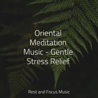 Oriental Meditation Music - Gentle Stress Relief