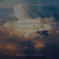 40 Serene Sounds for Meditation & Yoga