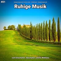 #01 Ruhige Musik zum Einschlafen, Abschalten und für Wellness