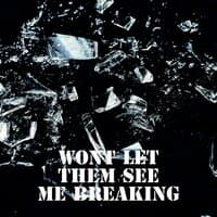 Wont Let Them See Me Breaking