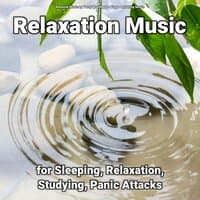 Relaxation Music for Sleeping, Relaxation, Studying, Panic Attacks