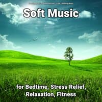 Soft Music for Bedtime, Stress Relief, Relaxation, Fitness