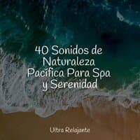 40 Sonidos de Naturaleza Pacífica Para Spa y Serenidad