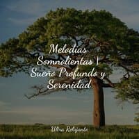 Melodías Somnolientas | Sueño Profundo y Serenidad